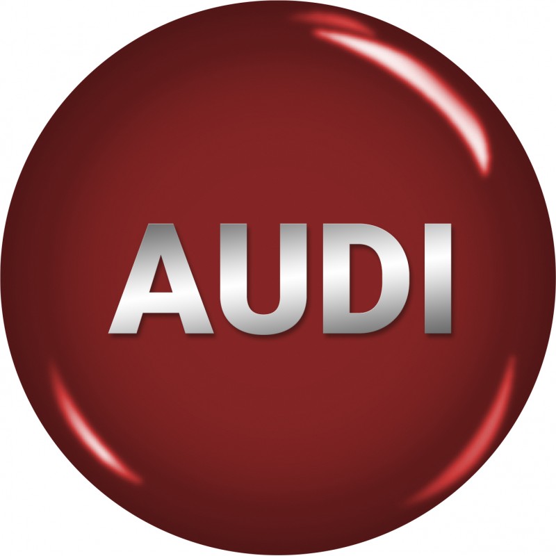 BumperPlugs™ for Audi