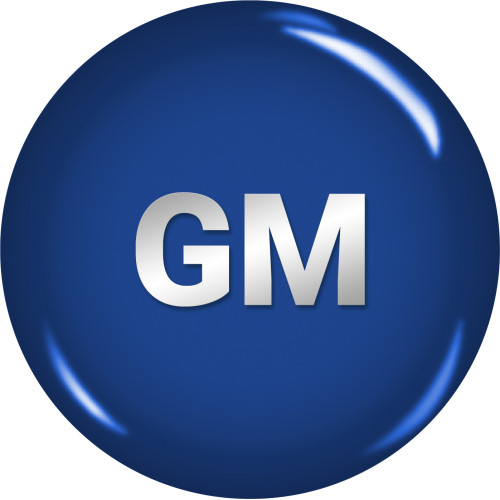 BumperPlugs™ for GM (Cadillac, Chevy, Buick, GMC...