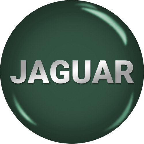 BumperPlugs™ for Jaguar