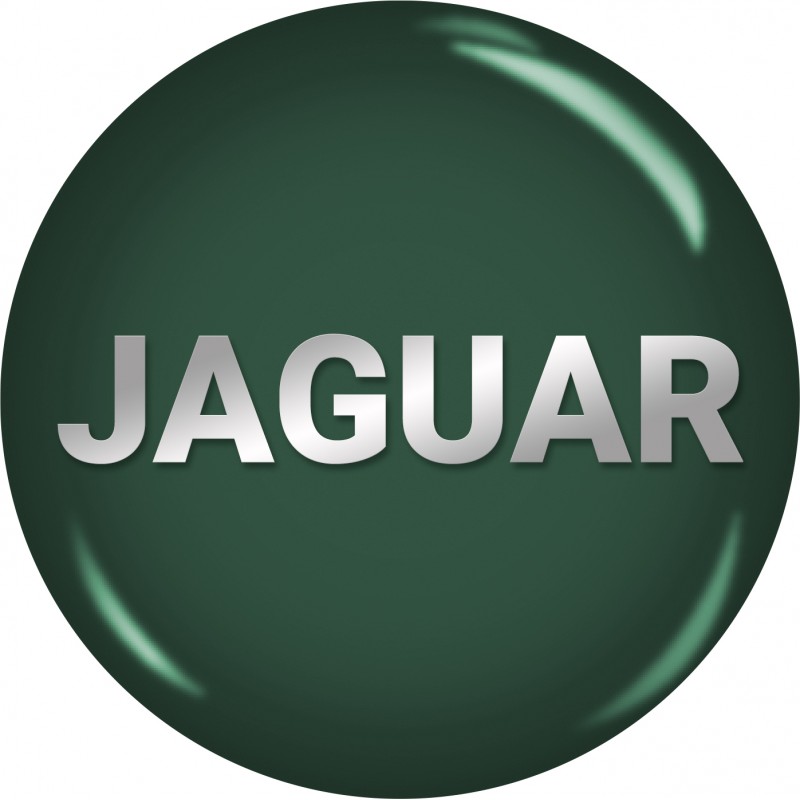 BumperPlugs™ for Jaguar