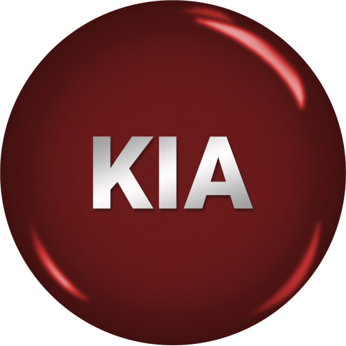 BumperPlugs™ for Kia