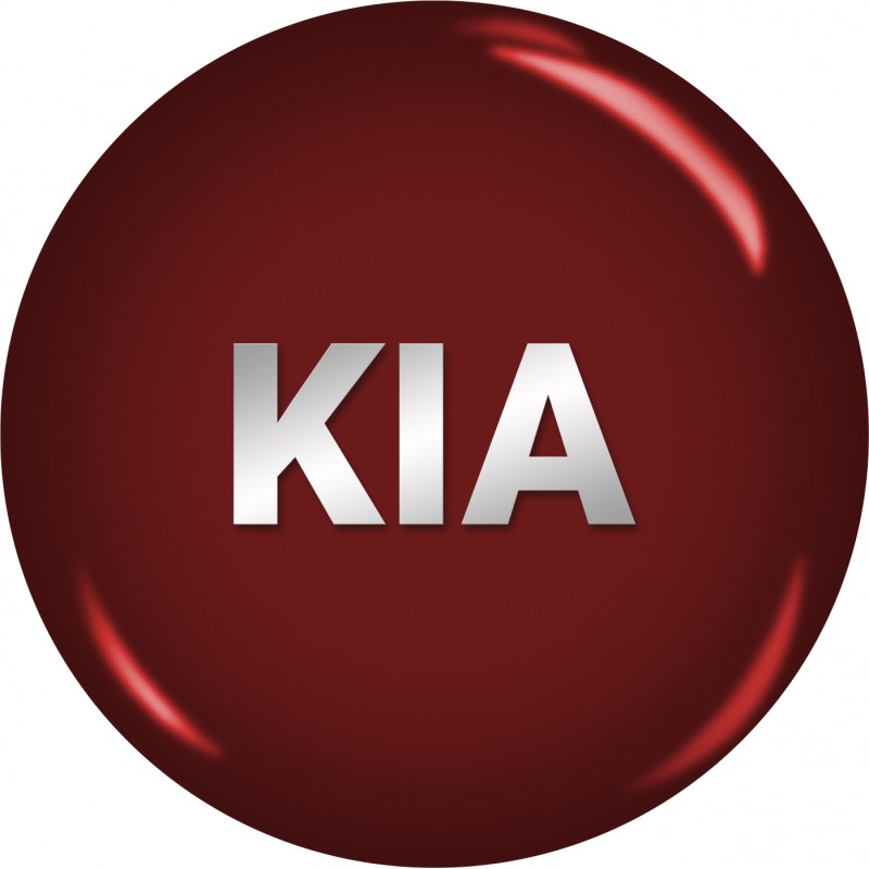BumperPlugs™ for Kia