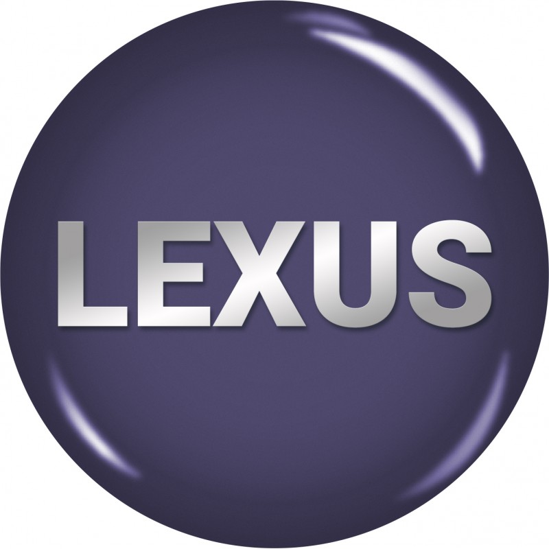 BumperPlugs™ for Lexus
