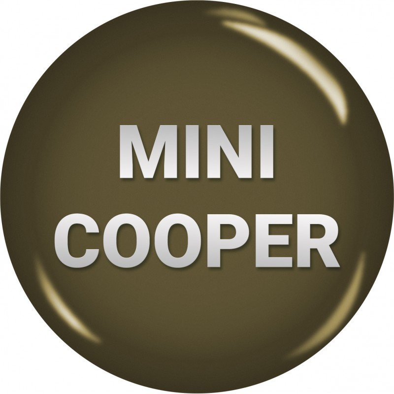 BumperPlugs™ for Mini Cooper