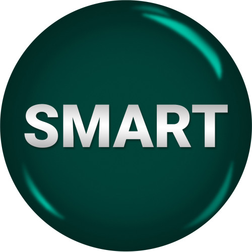 BumperPlugs™ for Smart Car