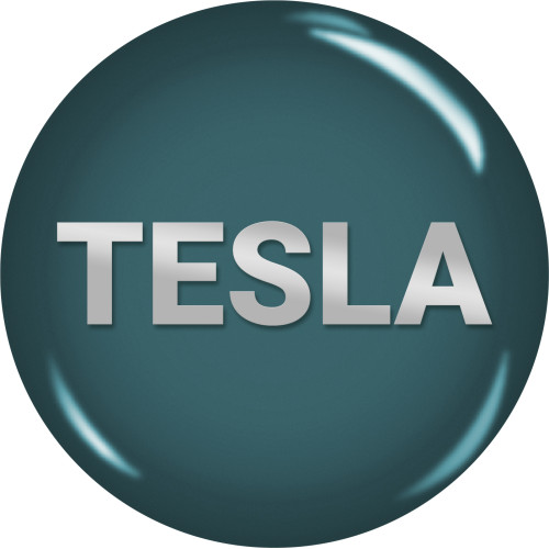 BumperPlugs™ for Tesla