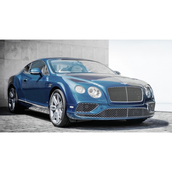 BumperPlugs™ for Bentley