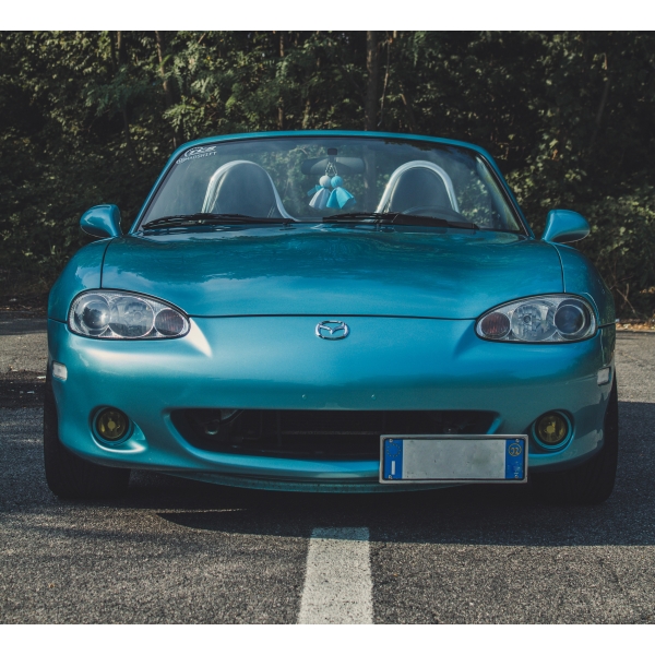 BumperPlugs™ for Mazda